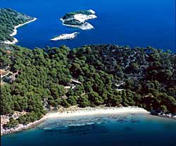 Mljet
